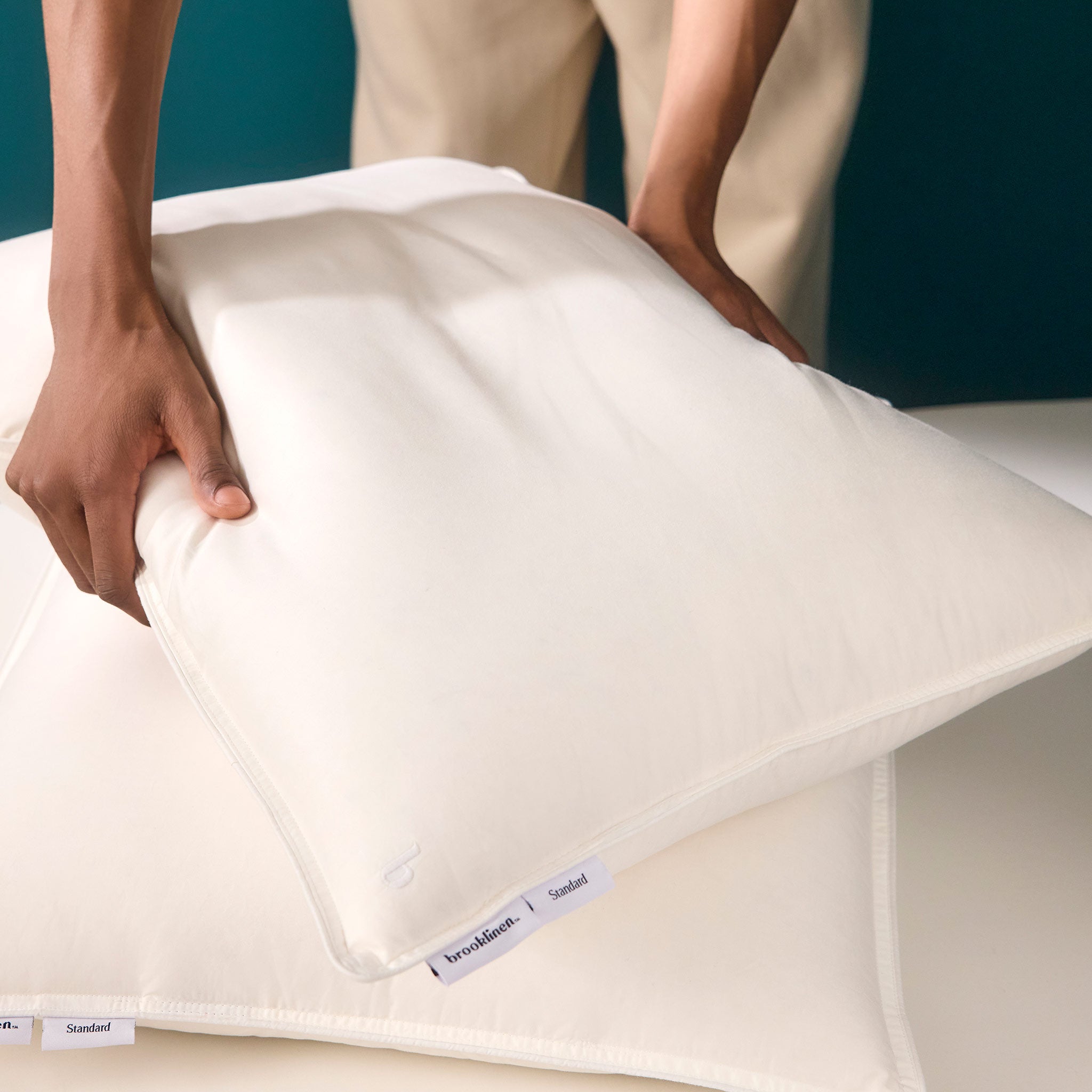 Down Pillow H9