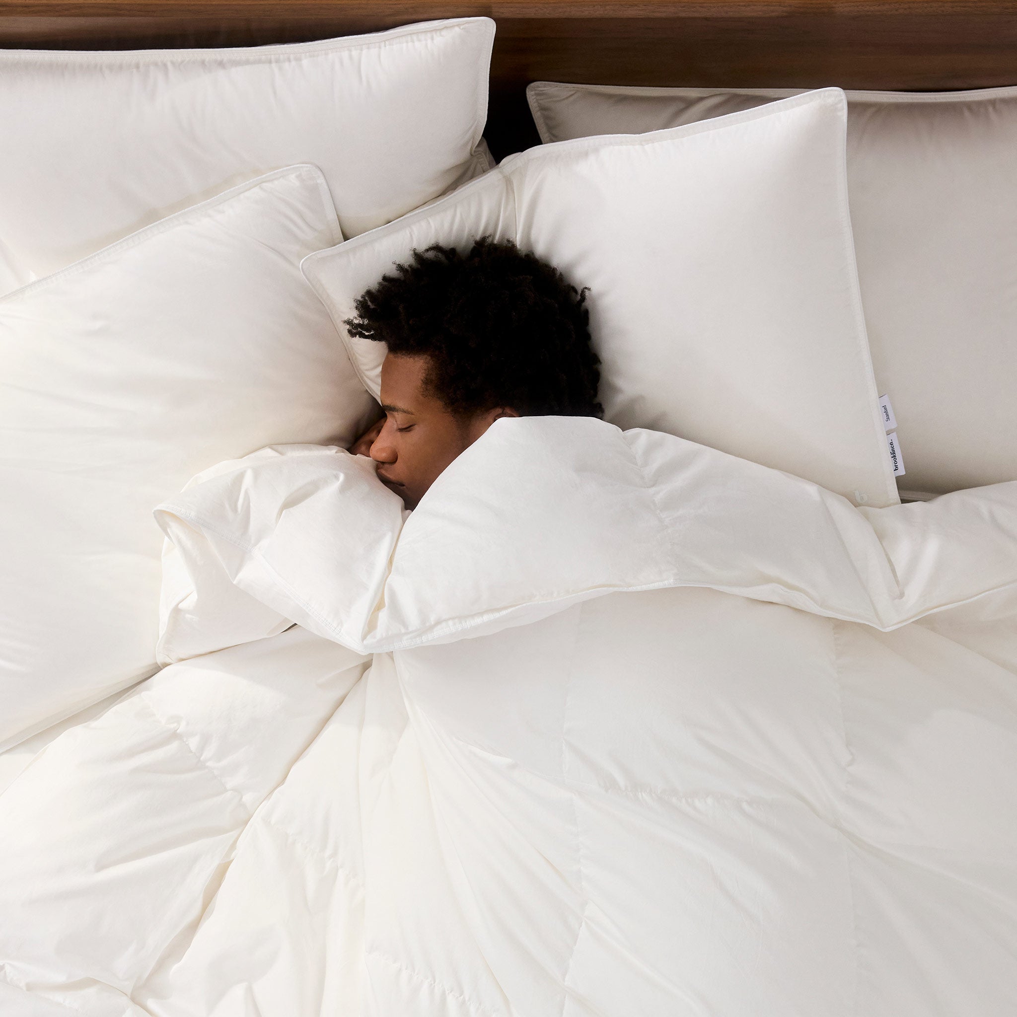 Down Pillow H9