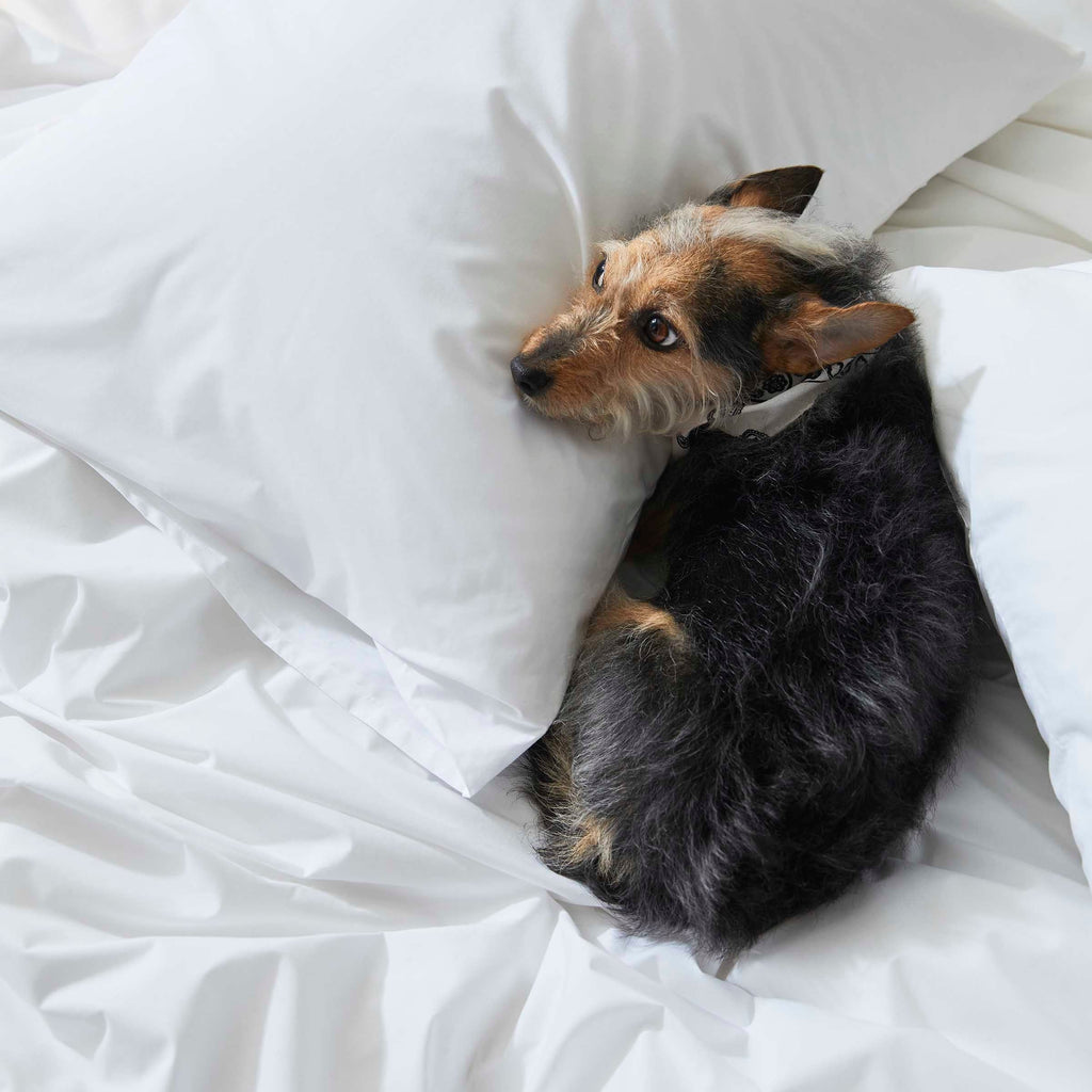Classic Percale Duvet Cover Q3