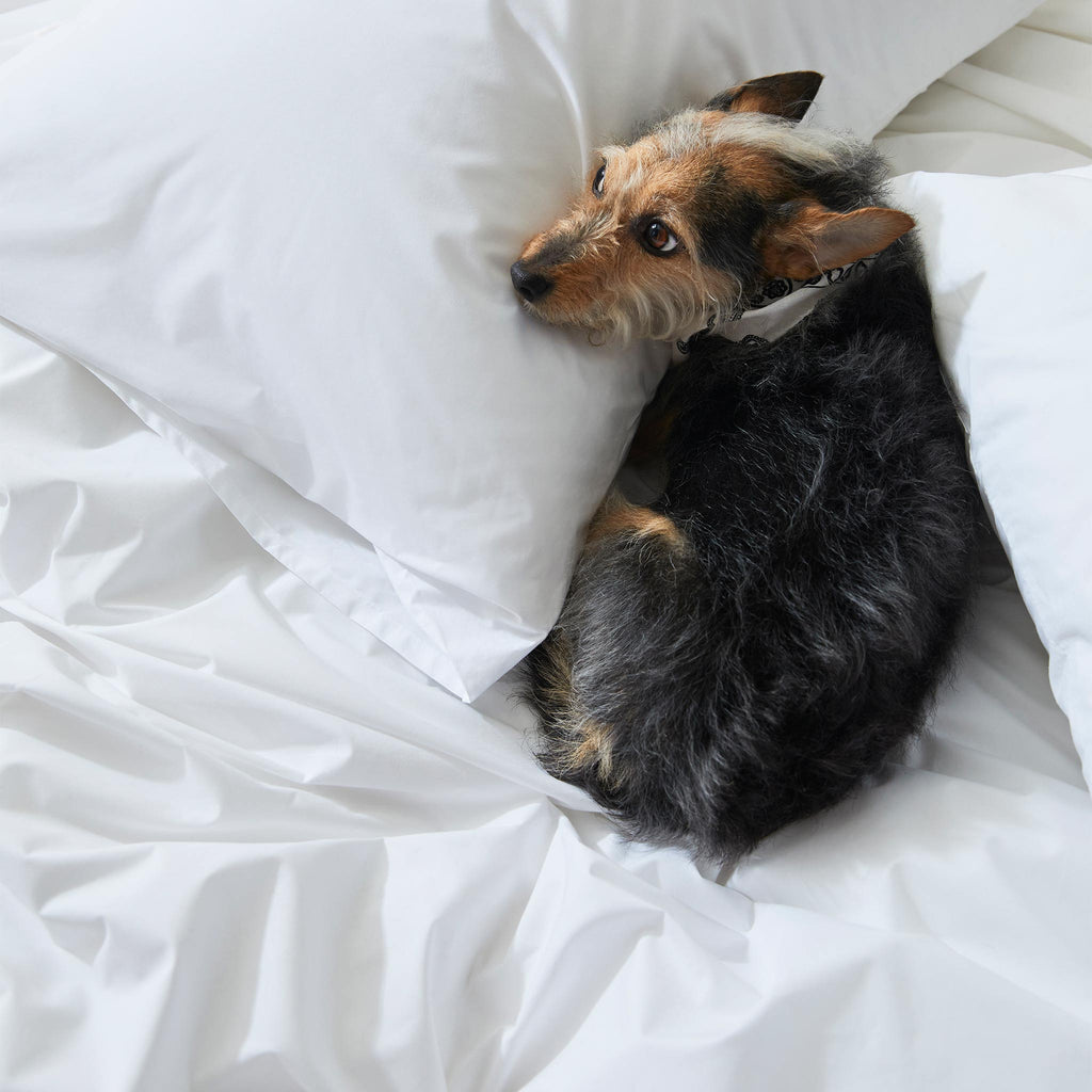 Classic Percale Core Sheet Set T1